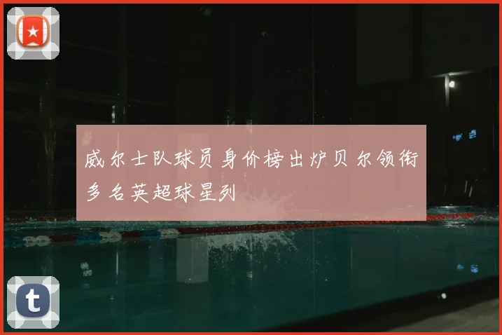 威尔士队球员身价榜出炉贝尔领衔多名英超球星列