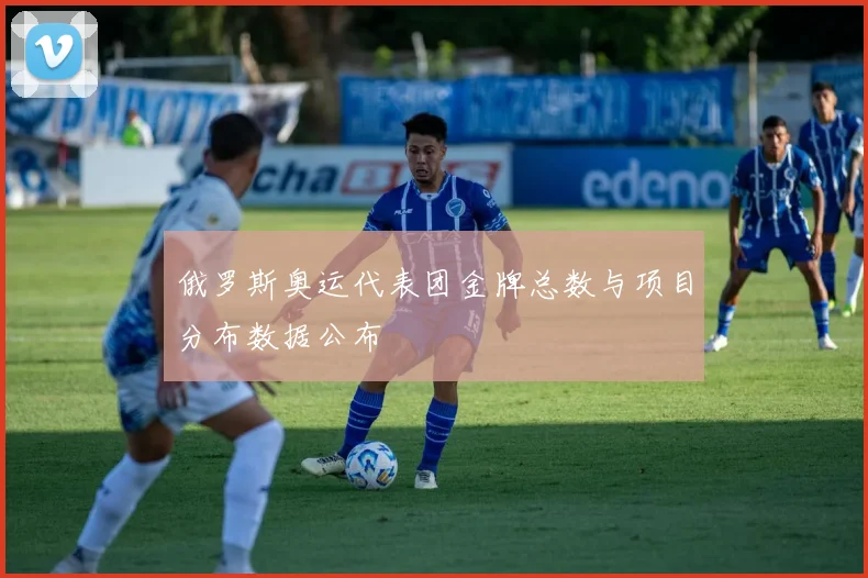 俄罗斯奥运代表团金牌总数与项目分布数据公布