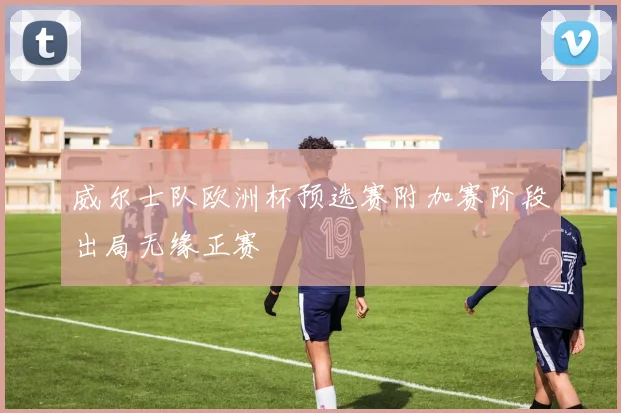 威尔士队欧洲杯预选赛附加赛阶段出局无缘正赛