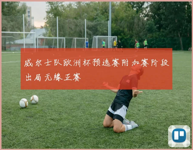 威尔士队欧洲杯预选赛附加赛阶段出局无缘正赛