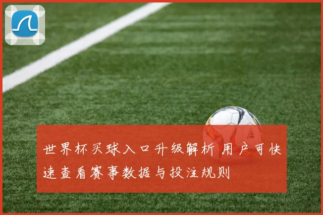 世界杯买球入口升级解析 用户可快速查看赛事数据与投注规则