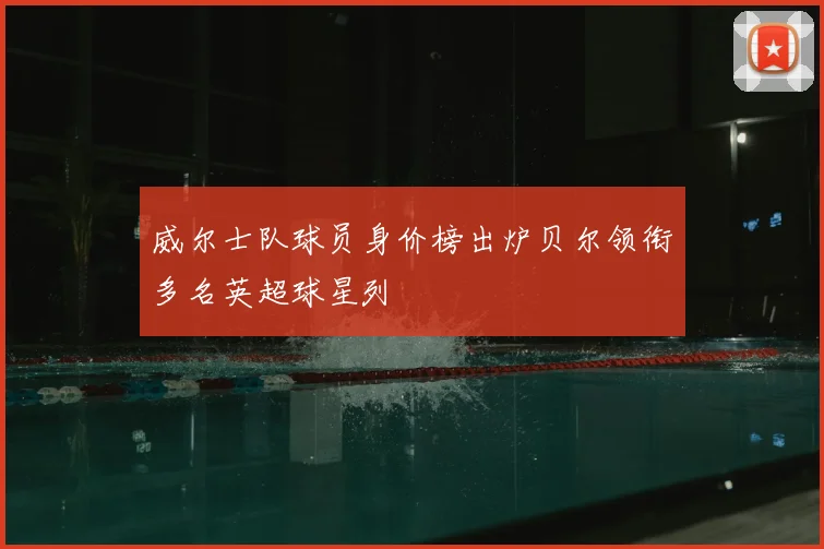 威尔士队球员身价榜出炉贝尔领衔多名英超球星列