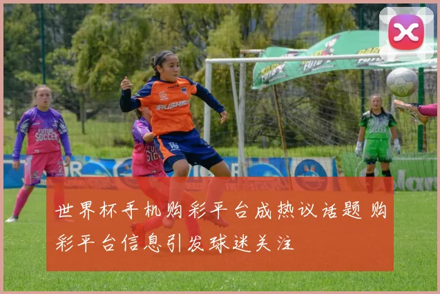 世界杯手机购彩平台成热议话题 购彩平台信息引发球迷关注
