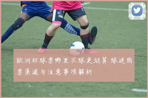 欧洲杯球票哪里买球更划算 球迷购票渠道与注意事项解析