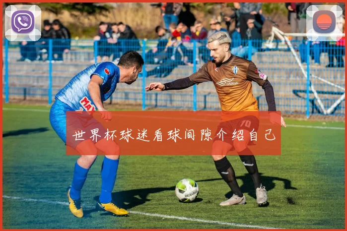 世界杯球迷看球间隙介绍自己