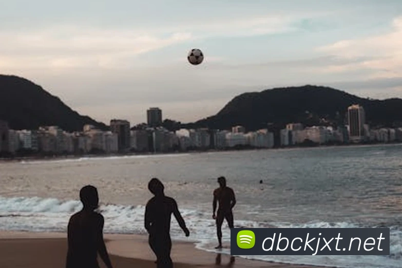 贝博app体育登录入口APP 封面图